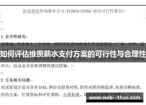 如何评估维贾薪水支付方案的可行性与合理性 如何评估维贾薪水支付方案的可行性与合理性