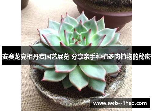 安赛龙亮相丹麦园艺展览 分享亲手种植多肉植物的秘密 安赛龙亮相丹麦园艺展览 分享亲手种植多肉植物的秘密