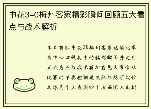 申花3-0梅州客家精彩瞬间回顾五大看点与战术解析 申花3-0梅州客家精彩瞬间回顾五大看点与战术解析
