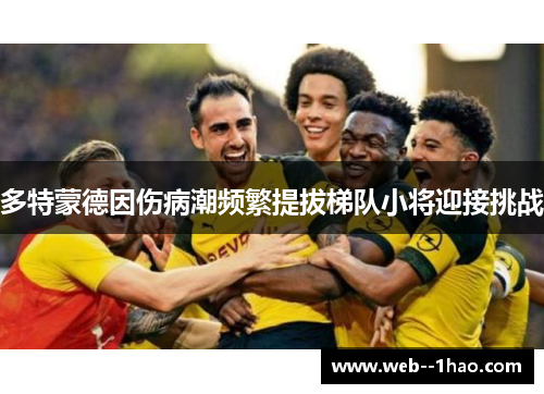 多特蒙德因伤病潮频繁提拔梯队小将迎接挑战 多特蒙德因伤病潮频繁提拔梯队小将迎接挑战