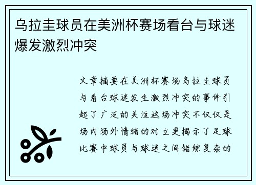乌拉圭球员在美洲杯赛场看台与球迷爆发激烈冲突
