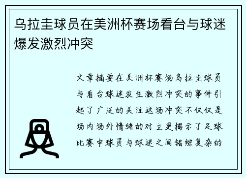 乌拉圭球员在美洲杯赛场看台与球迷爆发激烈冲突